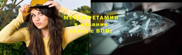 прущие грибы Костерёво