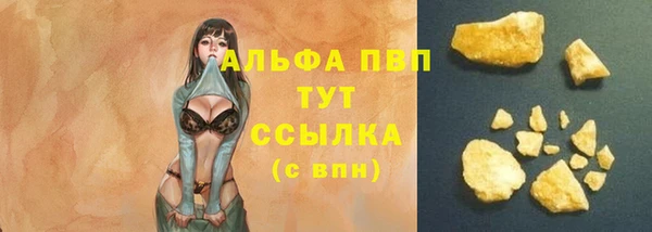 хмурый Корсаков