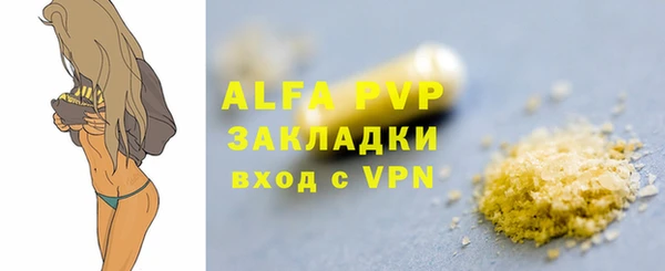 хмурый Корсаков