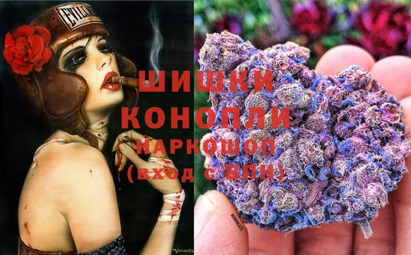 хмурый Корсаков