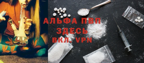 прущие грибы Костерёво