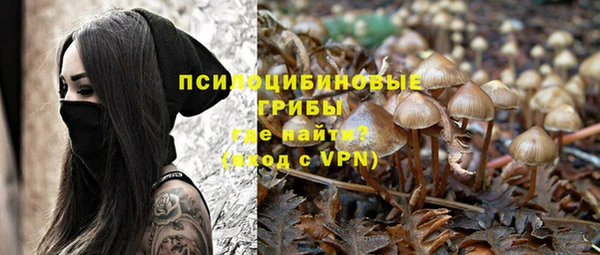 хмурый Корсаков