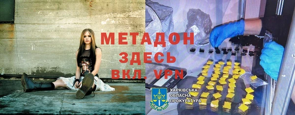 прущие грибы Костерёво