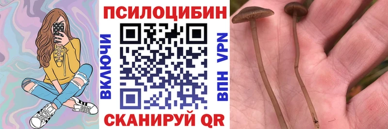 Купить  Петров Вал  Псилоцибиновые грибы мухоморы 